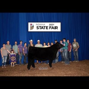 Meet your Posher, Ethan